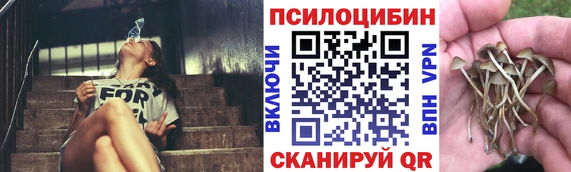 Псилоцибиновые грибы ЛСД  Дальнегорск 
